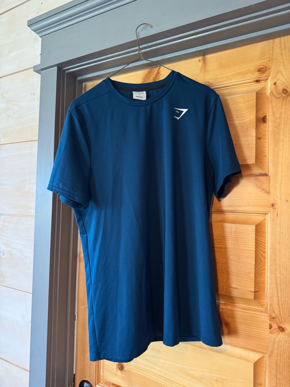 Gymshark Men's Performance T-Shirt in Dark Teal